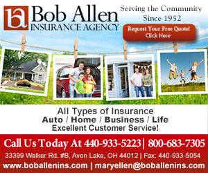 Bob Allen Insurance Agency Inc. Listing Image